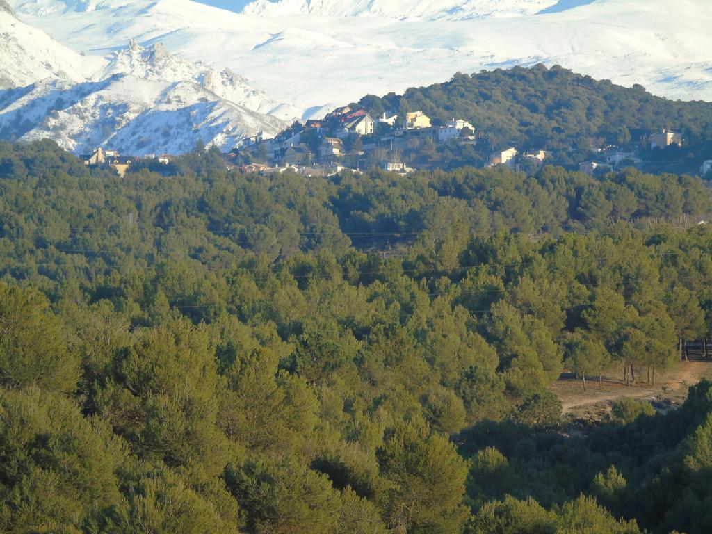 Apartamentos Turisticos Cumbres Verdes La Zubia  Eksteriør bilde