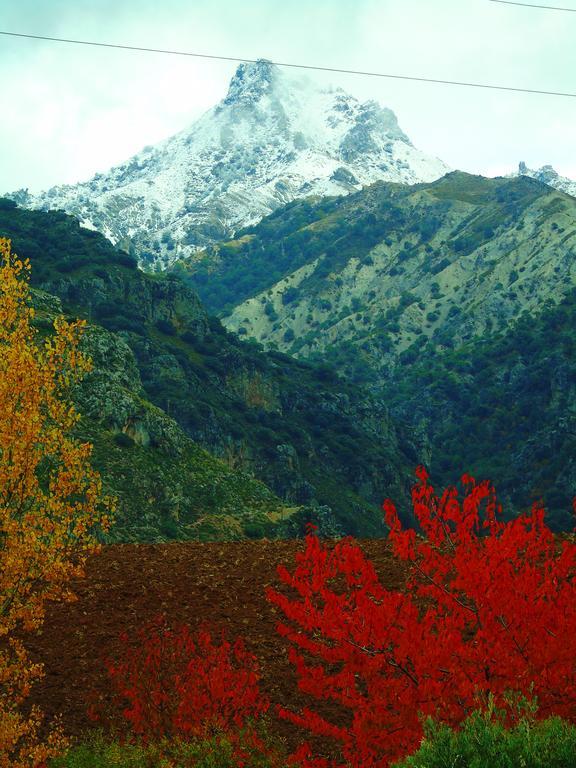 Apartamentos Turisticos Cumbres Verdes La Zubia  Eksteriør bilde